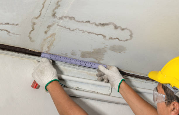 Reliable Mold Remediation contractor in Harrison, MI by Local Water Damage Repair